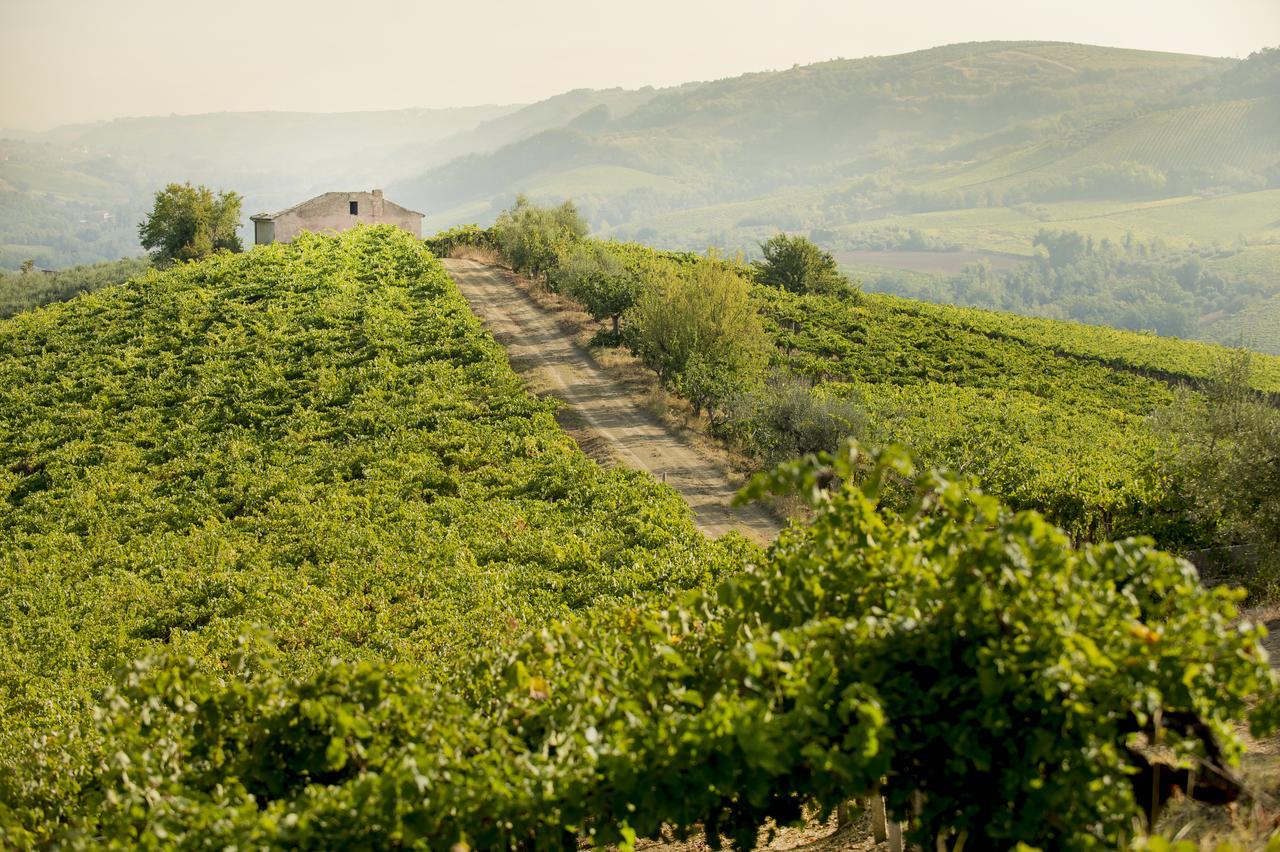 Baldovino B&B Villamagna  Extérieur photo